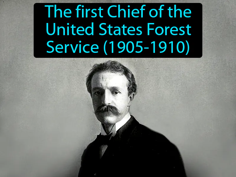 Gifford Pinchot Definition