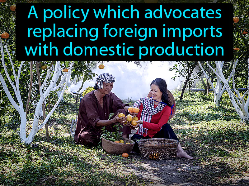 Import Substitution Definition