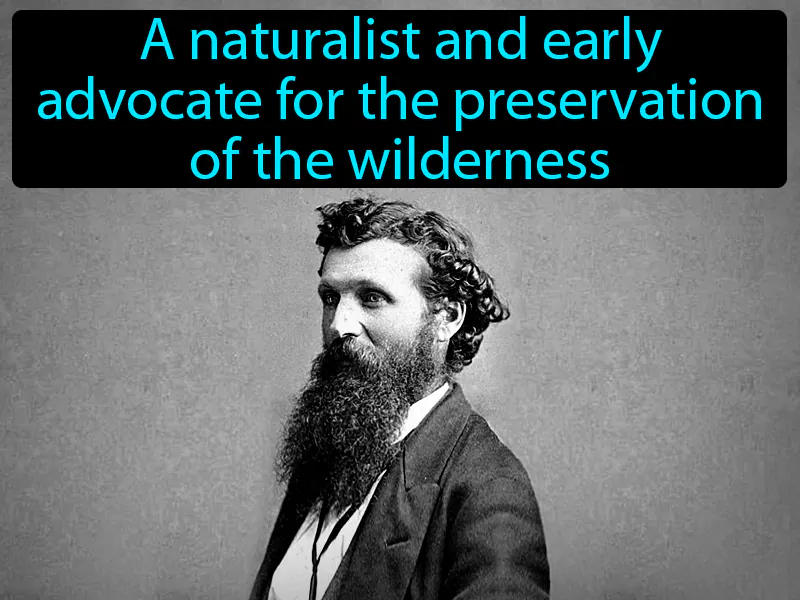 John Muir Definition