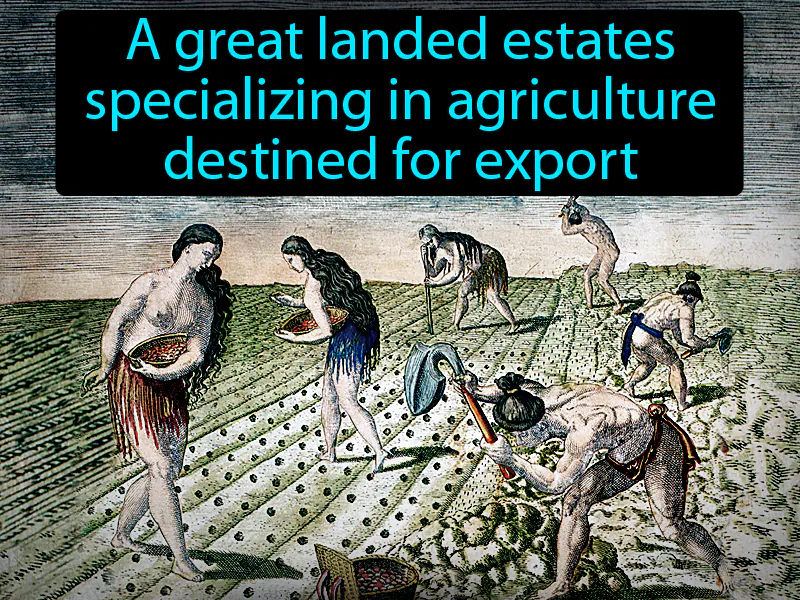 Latifundia Definition