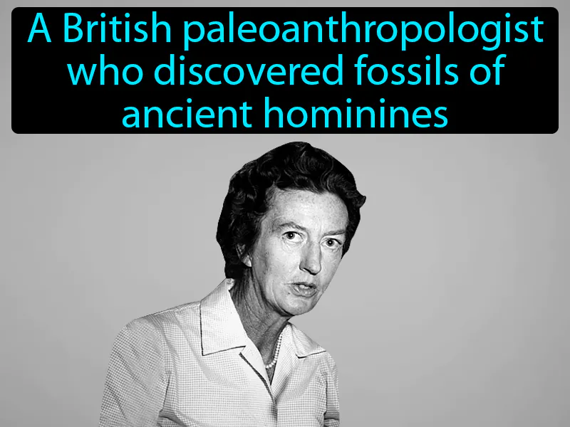 Mary Leakey Definition Mary Leakey Definition