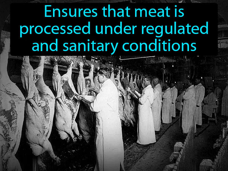 Meat Inspection Act Definition