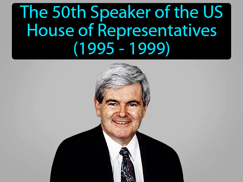 Newt Gingrich Definition