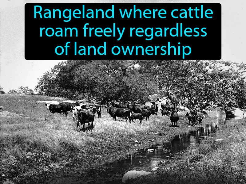 Open Range System Definition