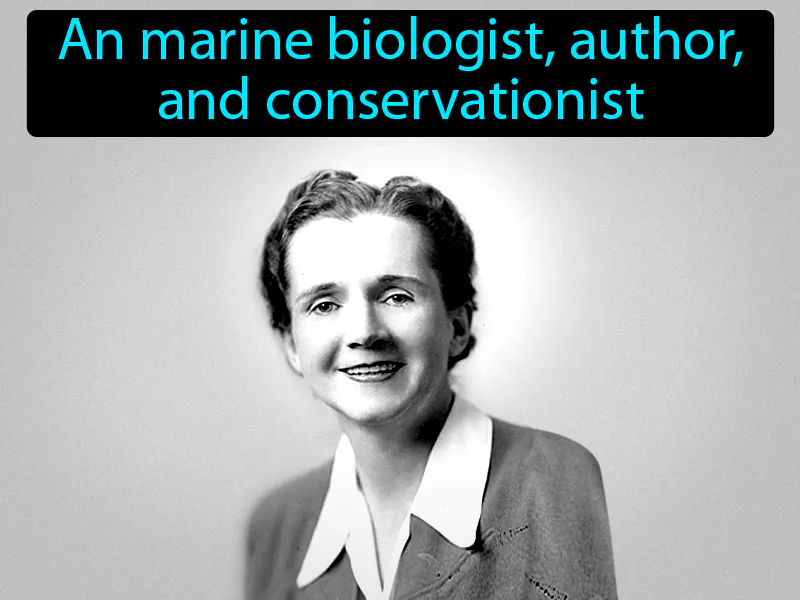 Rachel Carson Definition Rachel Carson Definition