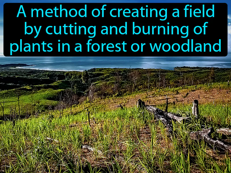 Slash And Burn Definition