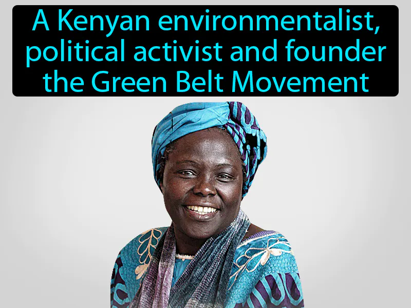 Wangari Maathai Definition Wangari Maathai Definition