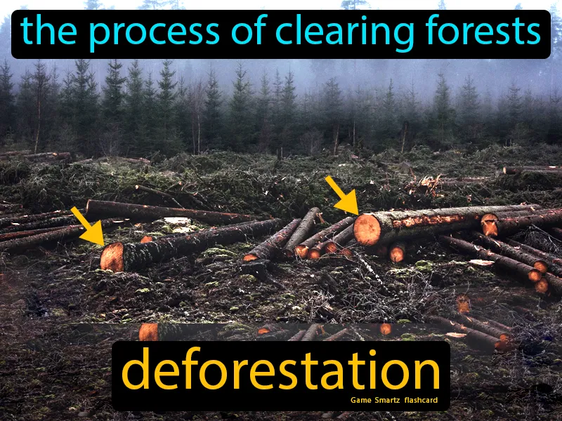 Deforestation Definition Deforestation Definition