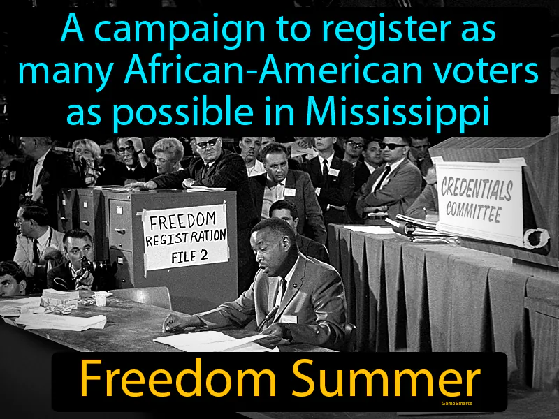 Freedom Summer Definition Freedom Summer Definition