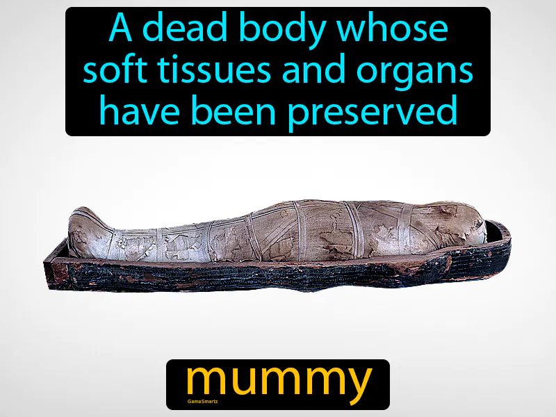 Mummy Definition Mummy Definition