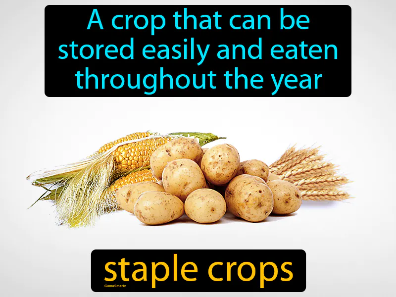 Staple Crops Definition Staple Crops Definition