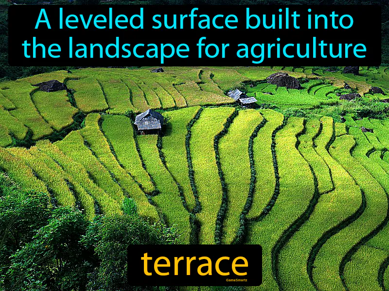 Terrace Definition Terrace Definition
