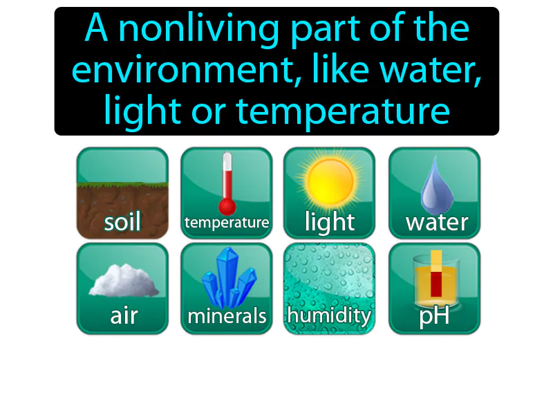 Abiotic Factor Definition