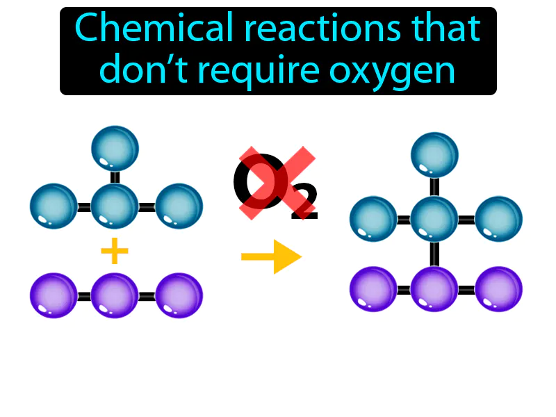 Anaerobic Definition