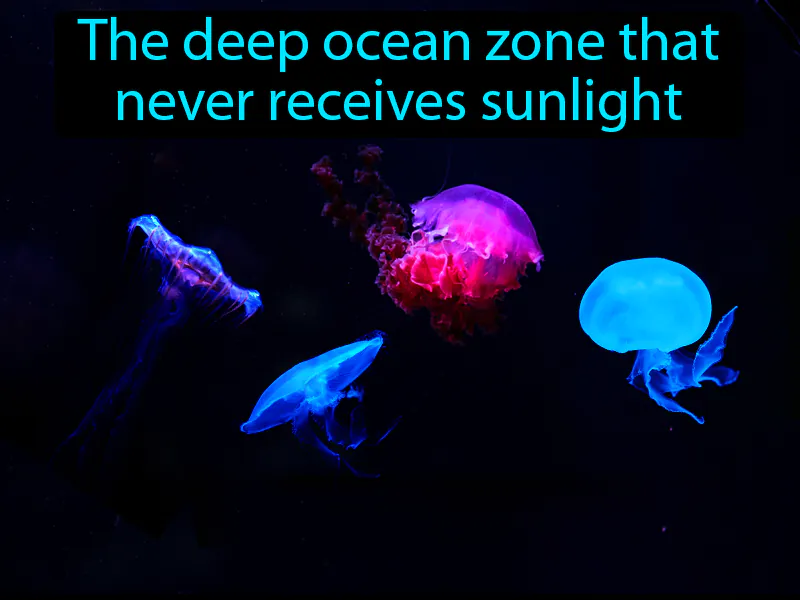 Aphotic Zone Definition