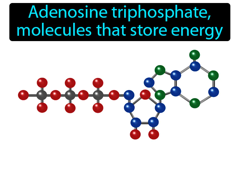 ATP Definition ATP Definition