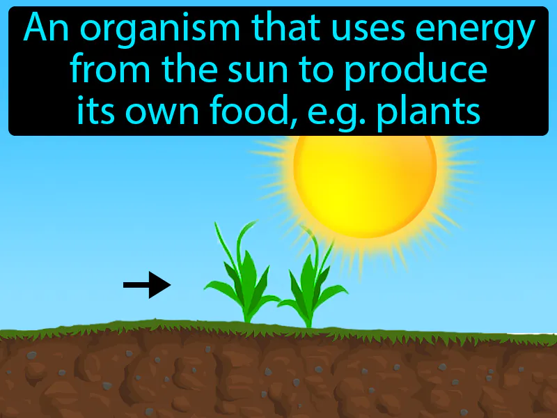 Autotroph Definition