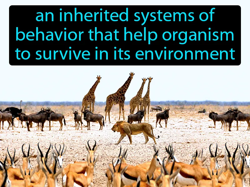 Behavioral Adaptation Definition