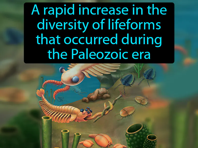 Cambrian Explosion Definition