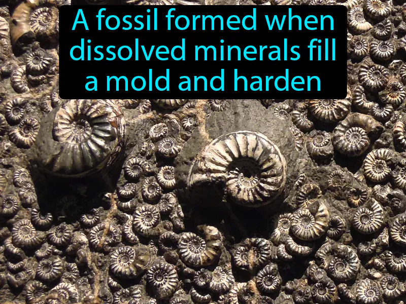 Cast Definition Cast Definition