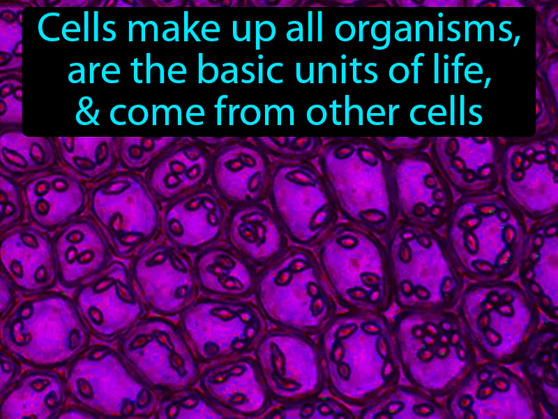 Cell Theory Definition Cell Theory Definition