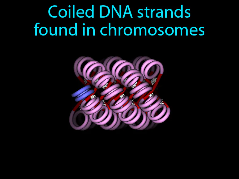 Chromatin Definition