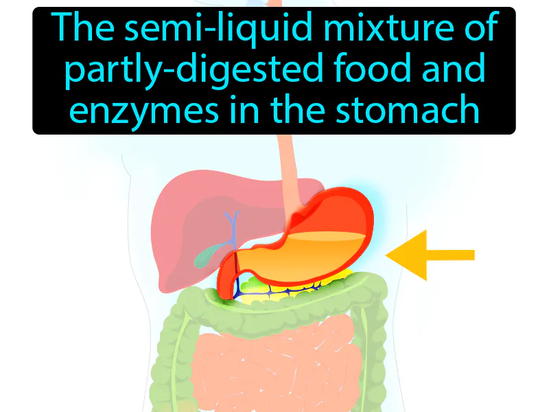 Chyme Definition Chyme Definition