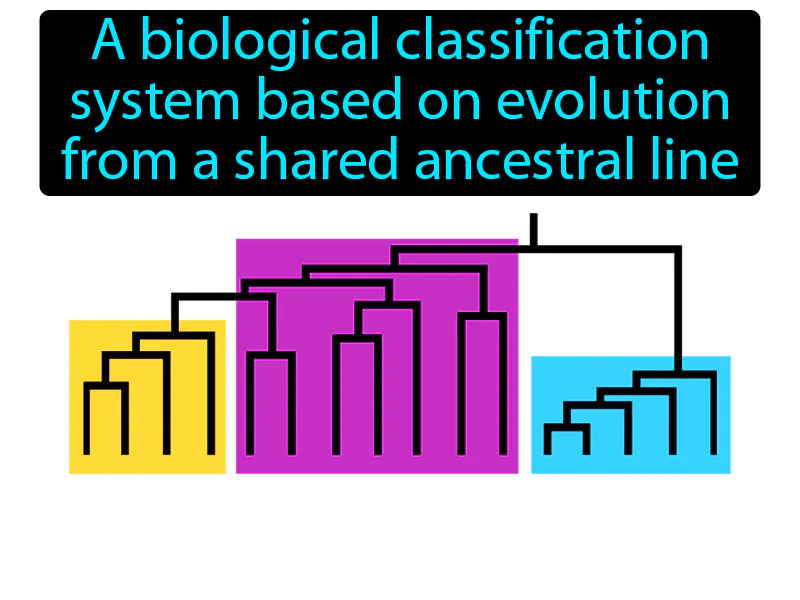 Cladistics Definition