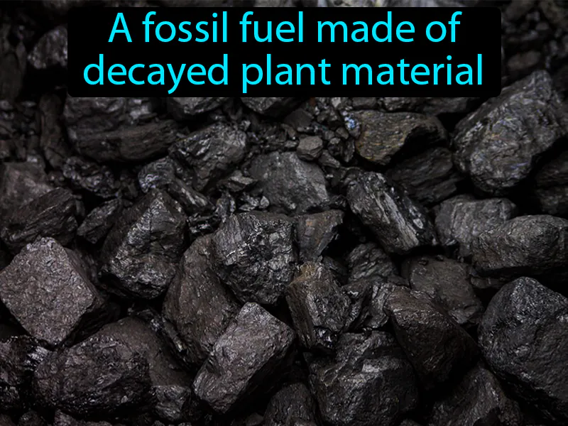 Coal Definition Coal Definition