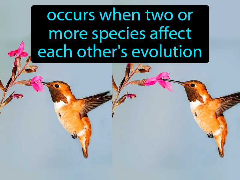 Coevolution Definition