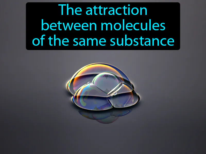 Cohesion Definition Cohesion Definition