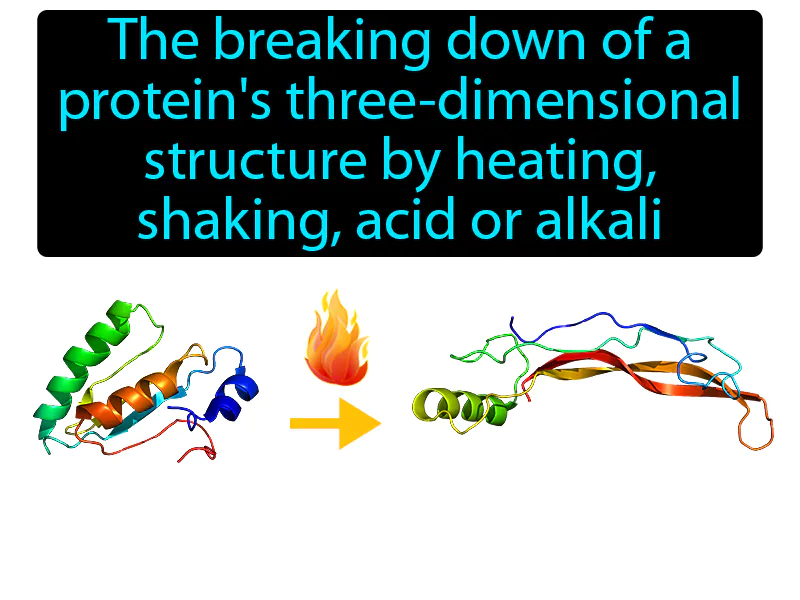 Denaturation Definition