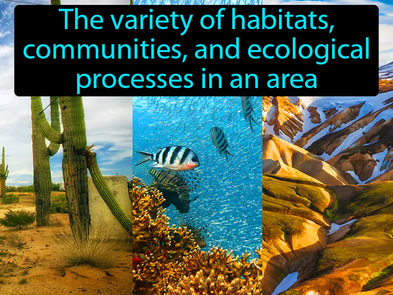 Ecosystem Diversity Definition Ecosystem Diversity Definition