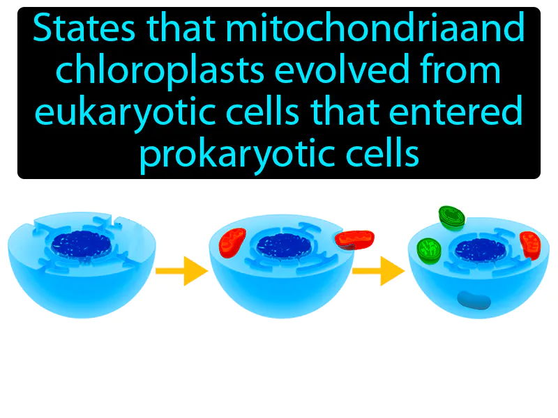 Endosymbiotic Theory Definition