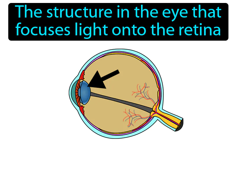 Eye Lens Definition