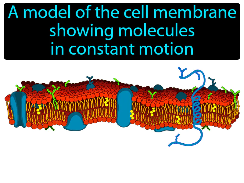 Fluid Mosaic Model Definition