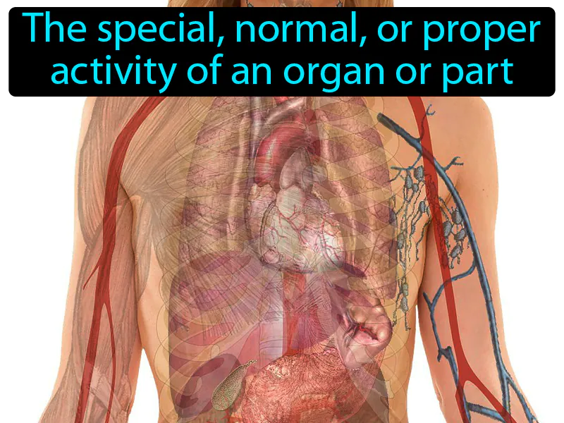 Function Definition Function Definition