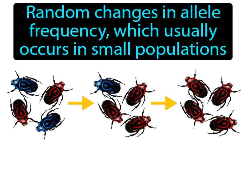 Genetic Drift Definition