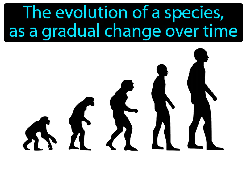 Gradualism Definition