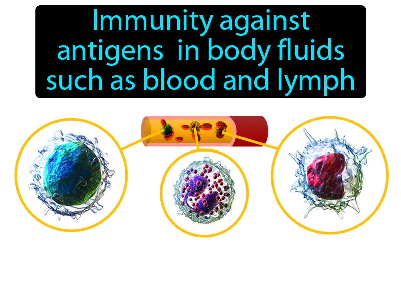 Humoral Immunity Definition Humoral Immunity Definition