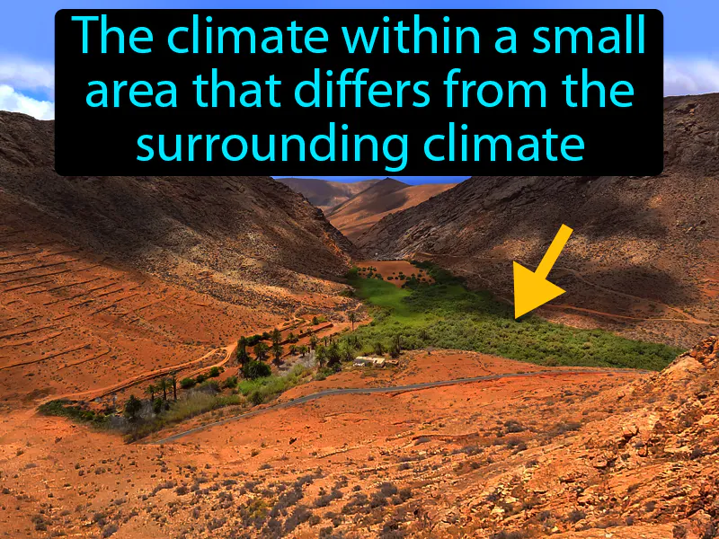 Microclimate Definition