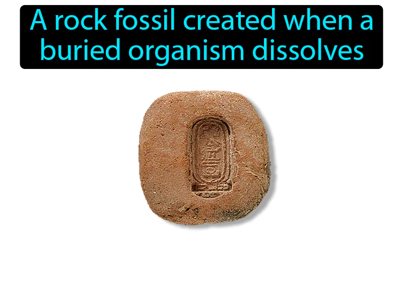 Mold Definition Mold Definition