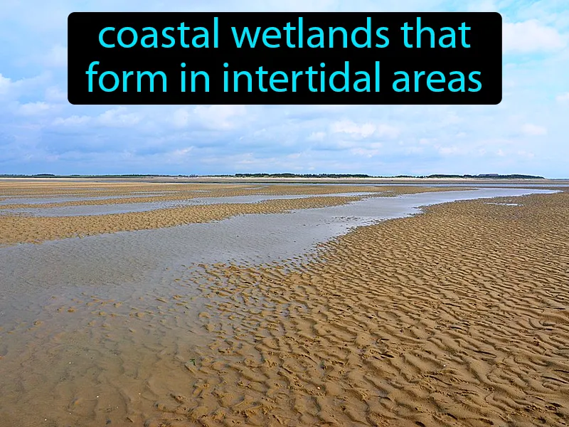 Mudflats Definition
