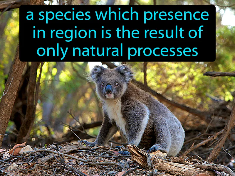 Native Species Definition