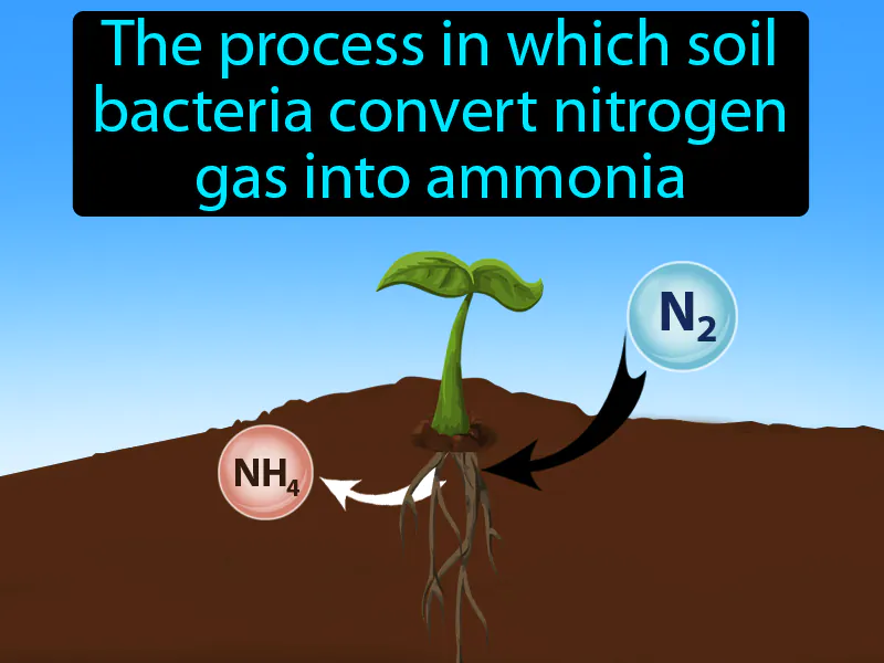 Nitrogen Fixation Definition