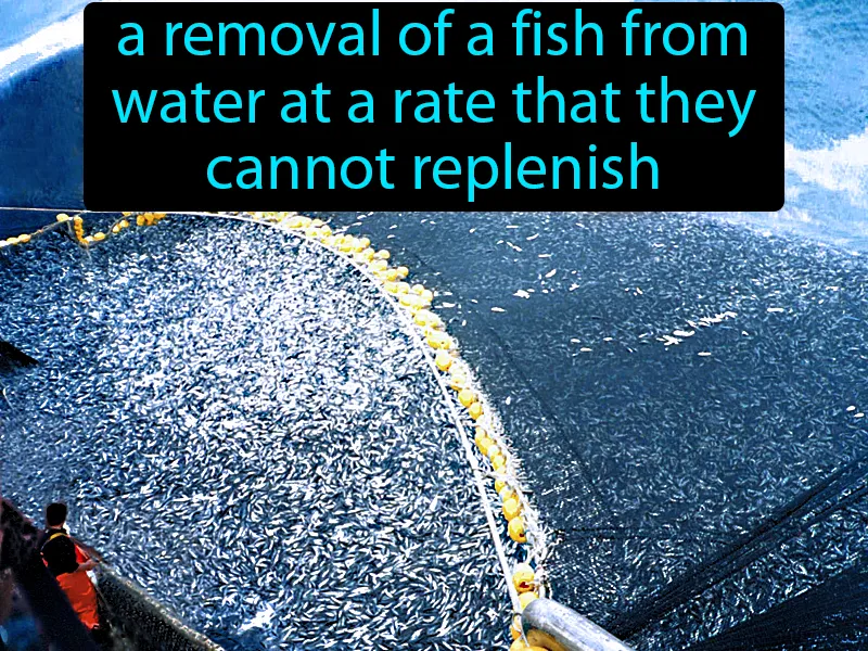 Overfishing Definition