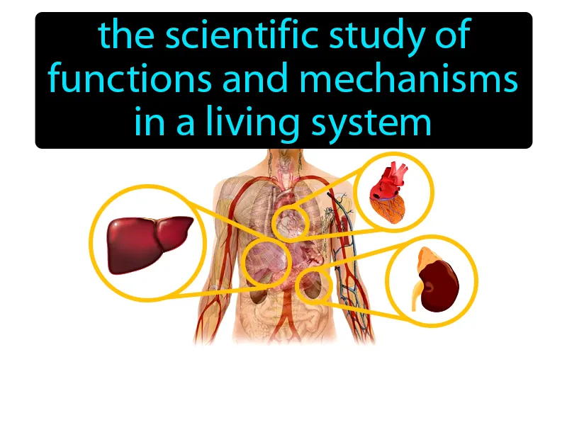 Physiology Definition