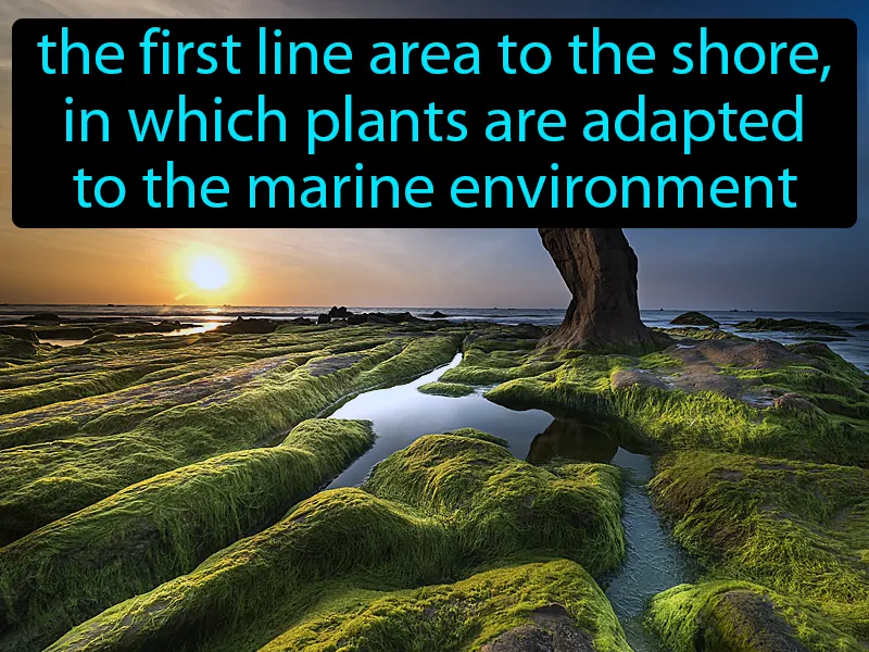 Pioneer Zone Definition Pioneer Zone Definition