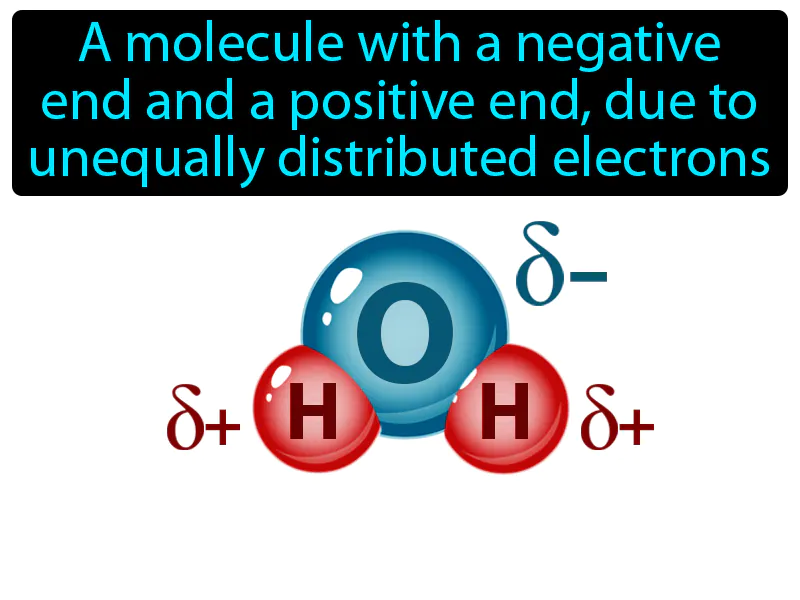 Polar Molecule Definition