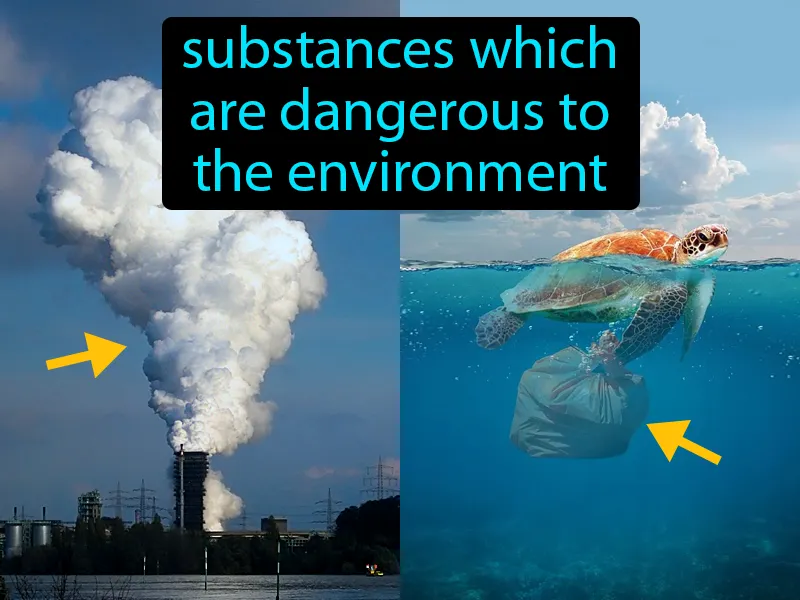 Pollutant Definition Pollutant Definition